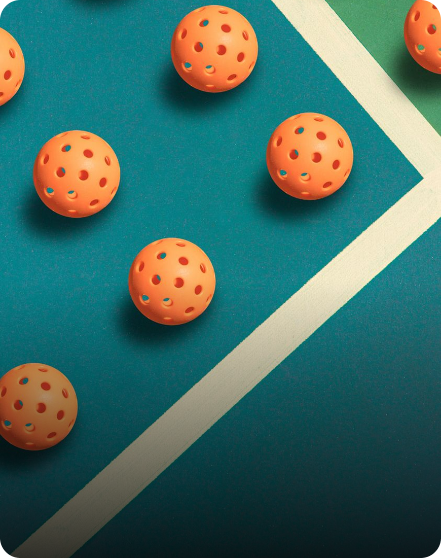 Champion Pickleball Set