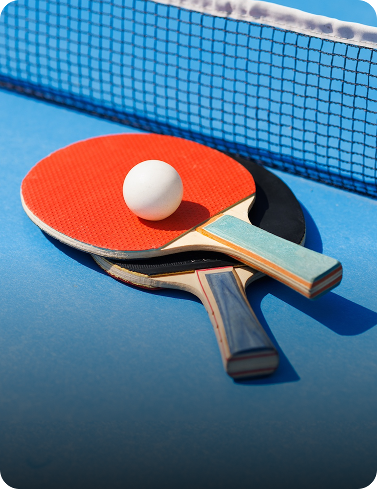 Butterfly Timo Boll ALC Racket